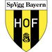 Vereinslogo SpVgg Bayern Hof