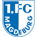 Vereinslogo 1. FC Magdeburg U 19
