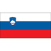 Vereinslogo Slowenien U 21