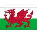Vereinslogo Wales U 17