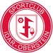 Vereinslogo SC 07 Idar-Oberstein