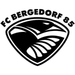 Vereinslogo FC Bergedorf 85