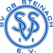 Vereinslogo SV Steinach