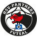 Vereinslogo HSV Panthers