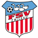 Vereinslogo FSV Zwickau U 19